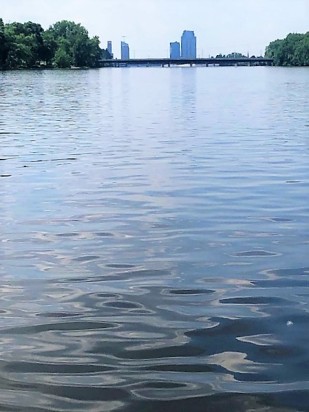 The Ann St bridge and downtown from Riverside Park, Grand Rapids